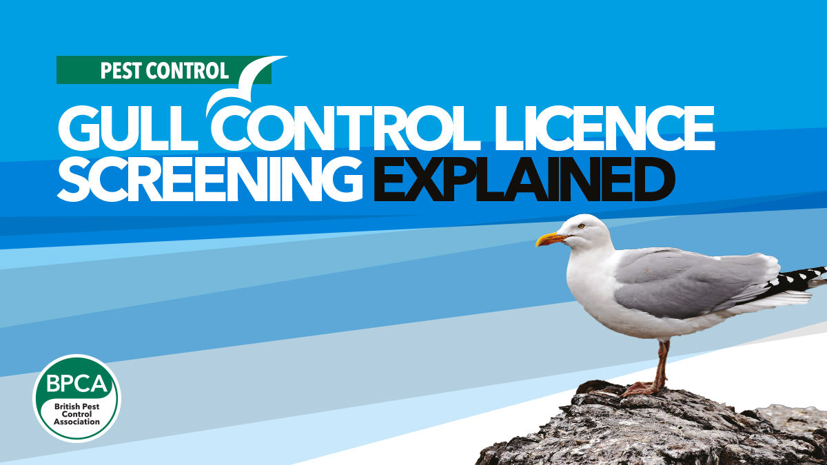 gull-control-screening gull-control-screening
